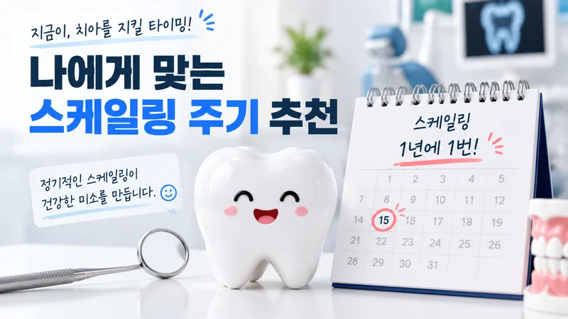 개인별 구강 상태에 맞는 스케일링 주기를 알려주는 치아와 달력 중심의 건강 관리 이미지