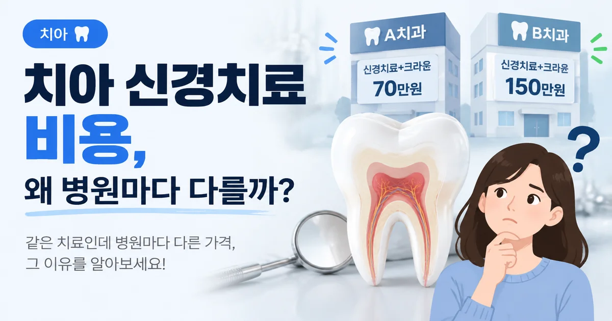 치아 신경치료 비용과 관련된 치아 모형과 보험 서류가 놓인 이미지