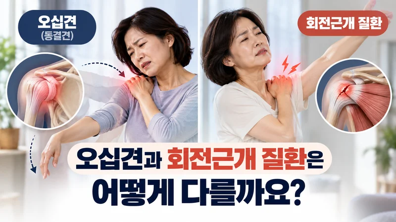 오십견과 회전근개 질환은 어떻게 다를까요?